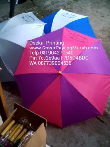 marchandise-payung