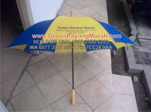 souvenir-payung