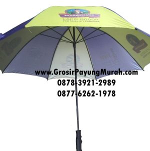 payung-souvenir
